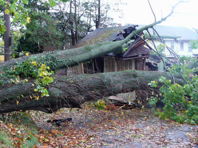 Sandy does little damage in Lancaster County